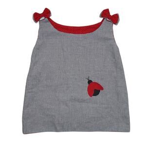 Handmade Ladybug Gingham Dress with Removable Bows – Size 3T